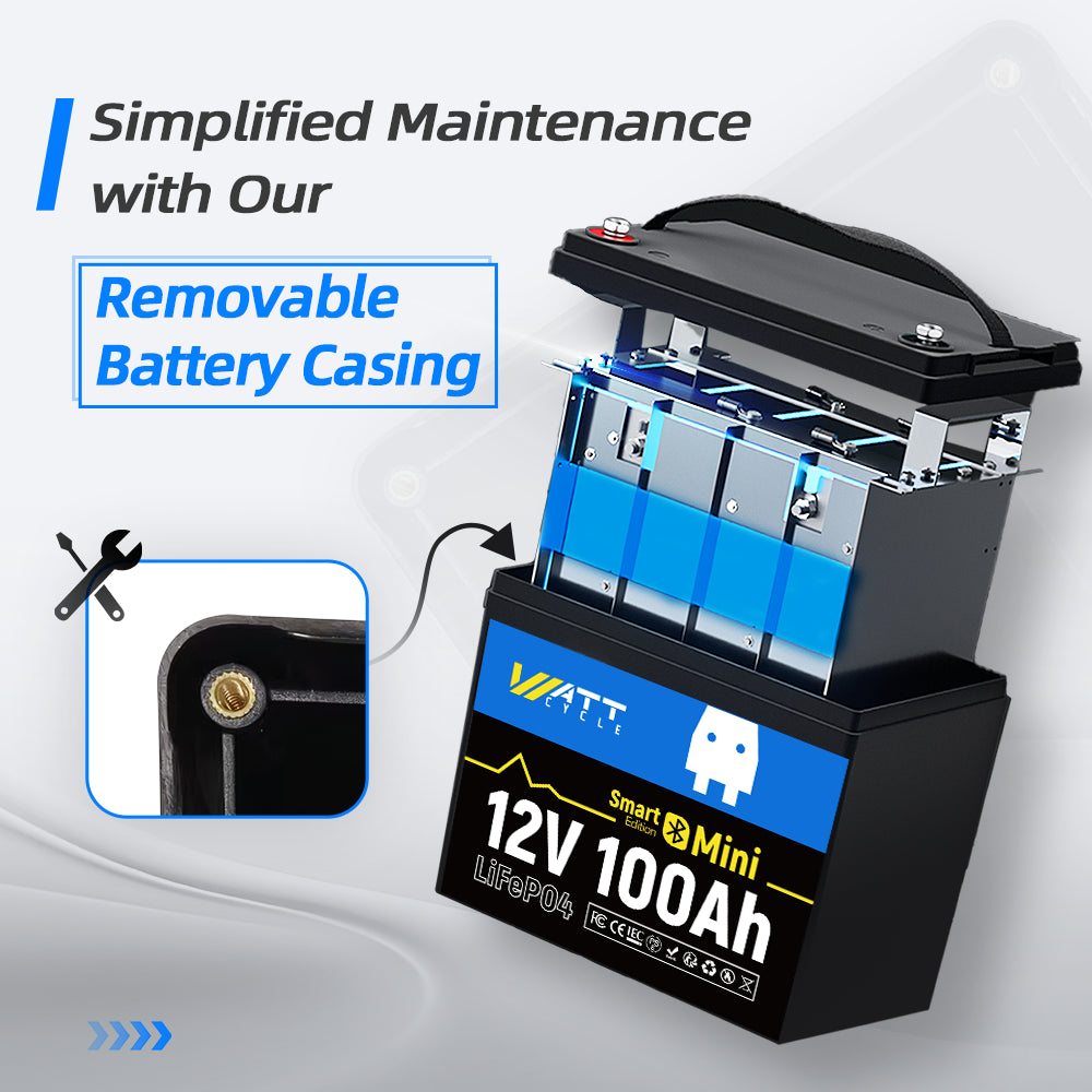 Premium 12V 100Ah Mini LiFePO4 Lithium Battery with Bluetooth - Lightweight & Long-Lasting Power for RVs, Solar Systems, Marine, and Off-Grid Applications