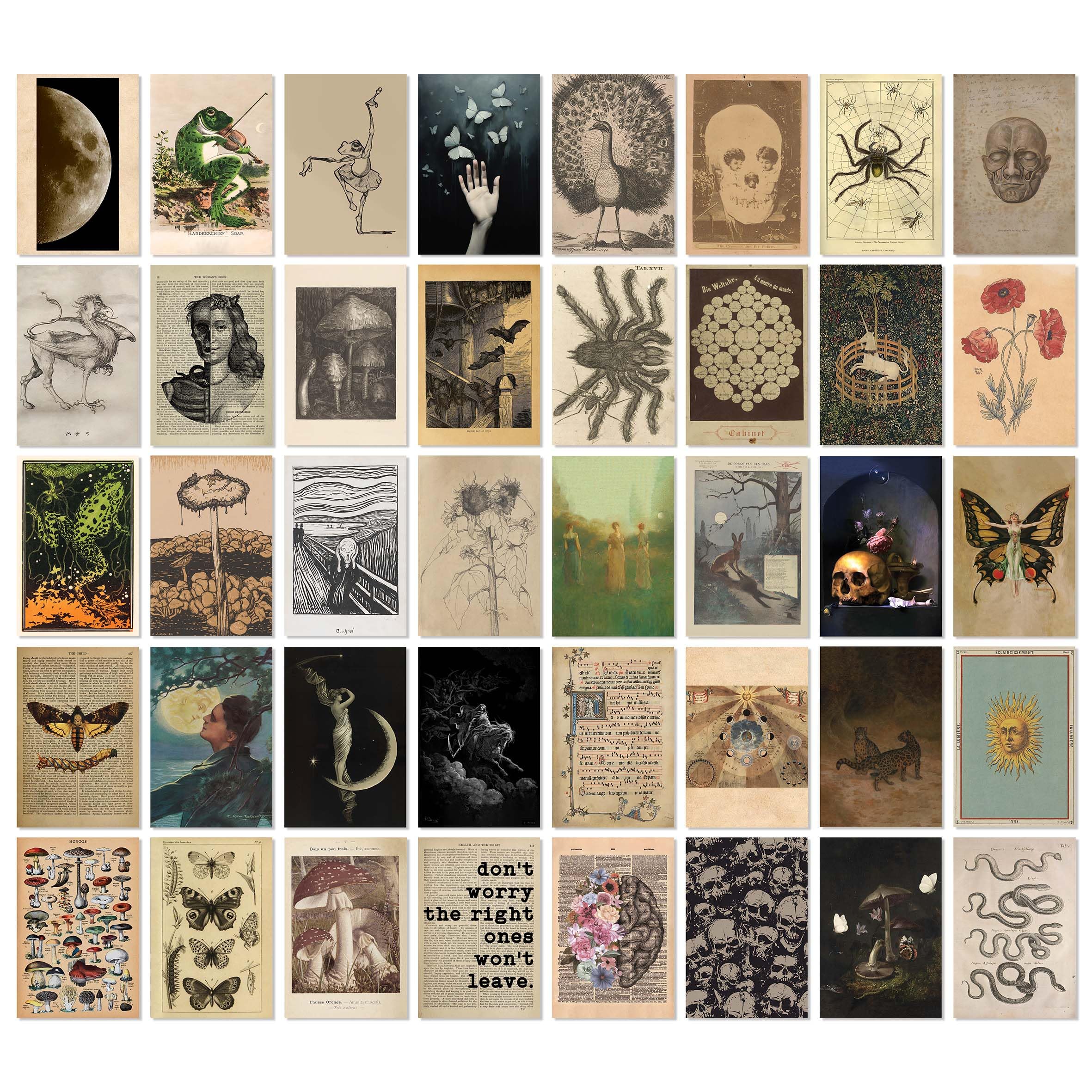 97 Vintage Posters for Room Aesthetic - 40pcs Vintage Art Wall Collage Kit, Fairycore & Witch Goblincore Pictures, Cottagecore Posters for Teen & College Dorm Bedroom Decoration (4