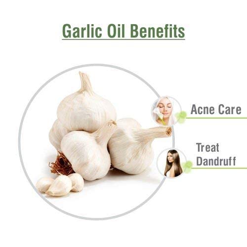 Pure Ayurvedic Garlic Oil for Hair Growth & Anti Hair Loss - 2 Pack (30ml Each) - All Hair Types - Natural Hair Styling & Scalp Treatment - Perfect for Daily Hair Care & Thinning Hair Solutions