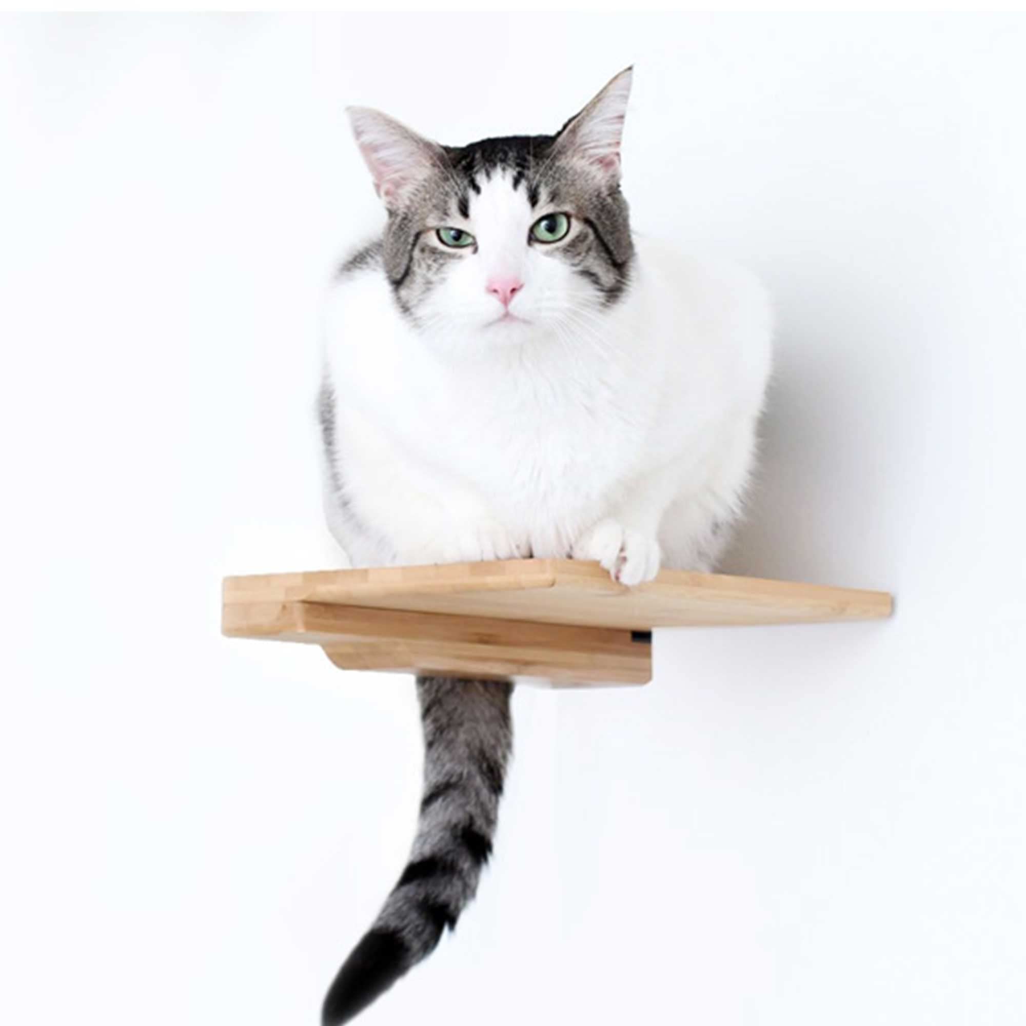 Cat Step Bamboo Shelf with Cork Pad - Wall Mounted Cat Climbing Furniture for Indoor Cats (9