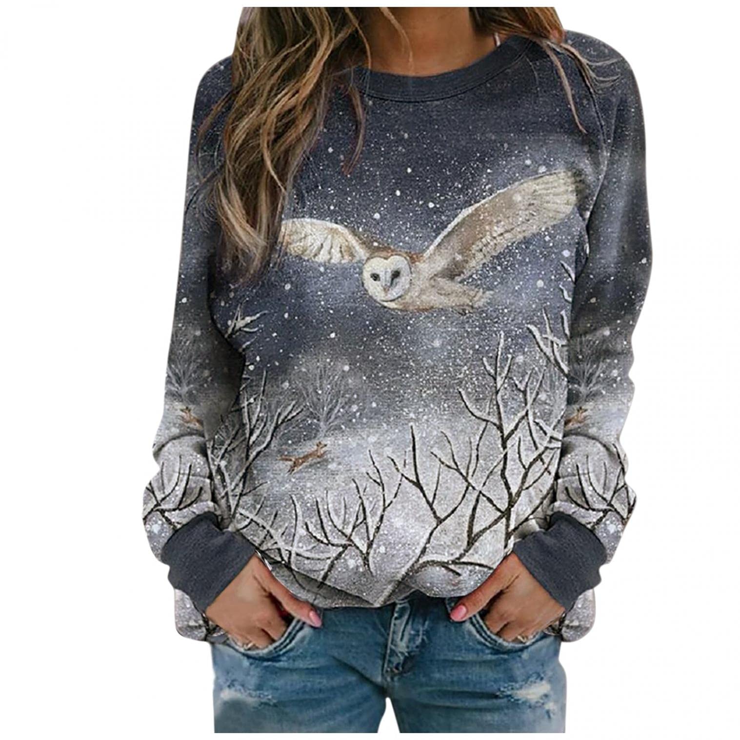Women's Winter Sweaters & Hooded Pullover Tops - Loose Casual Blouses & Comfy Sweatshirts for Cold Weather | Cozy Outfit for Work, Travel & Daily Wear
