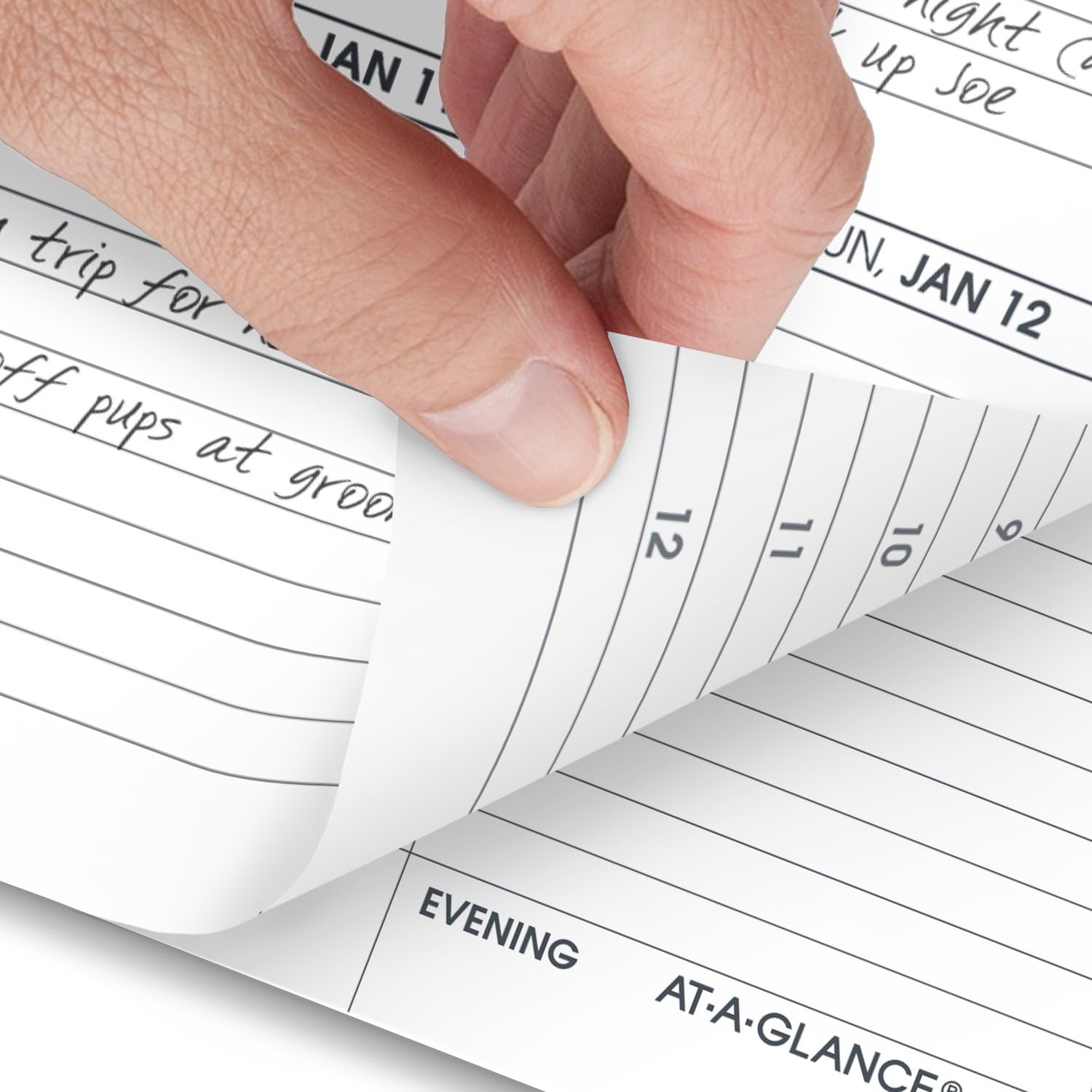AT-A-GLANCE 2025 Weekly Appointment Book Planner - 3.25