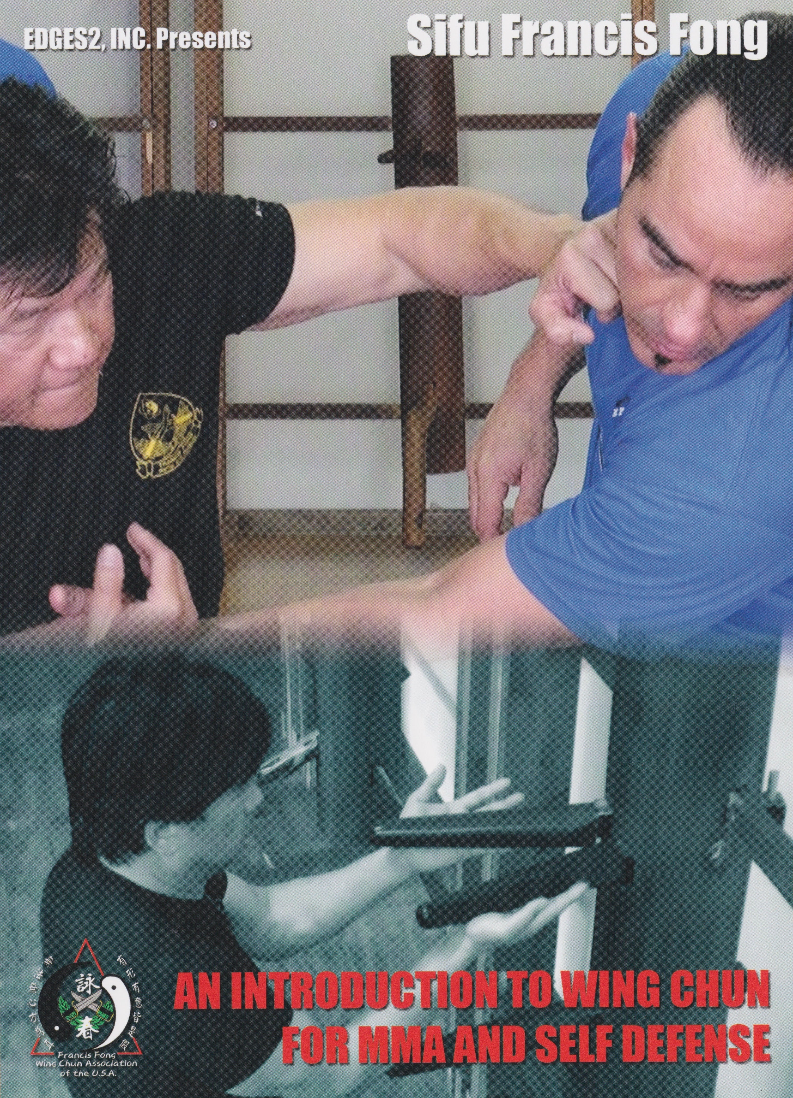 Francis Fong Wing Chun for MMA & Self Defense Training DVD - Learn Martial Arts Techniques for Combat & Personal Protection | Home Practice & Gym Workout