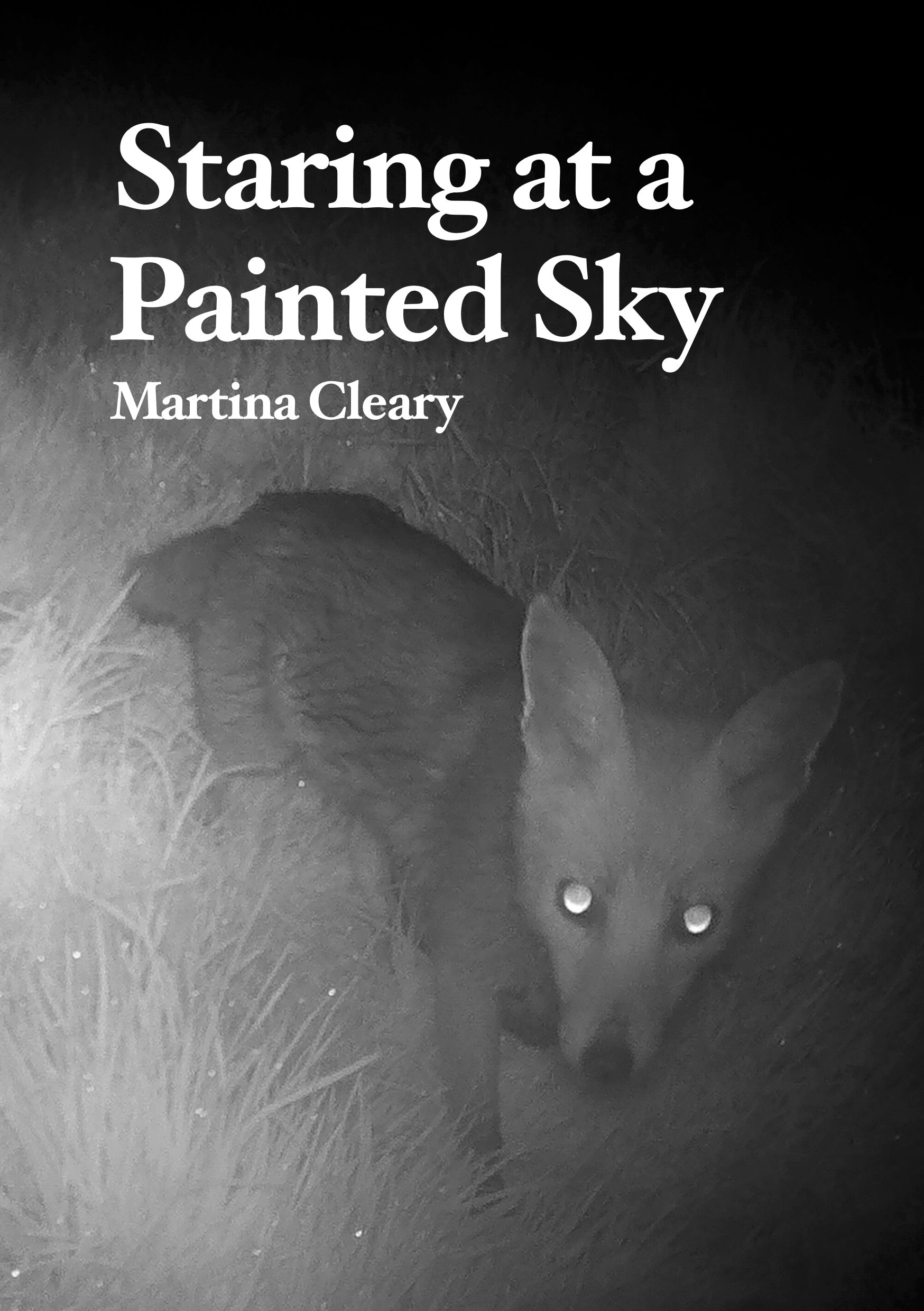 Staring at a Painted Sky by Martina Cleary - Beautiful Wall Art for Home & Office Decor | Perfect for Living Rooms, Bedrooms & Workspaces