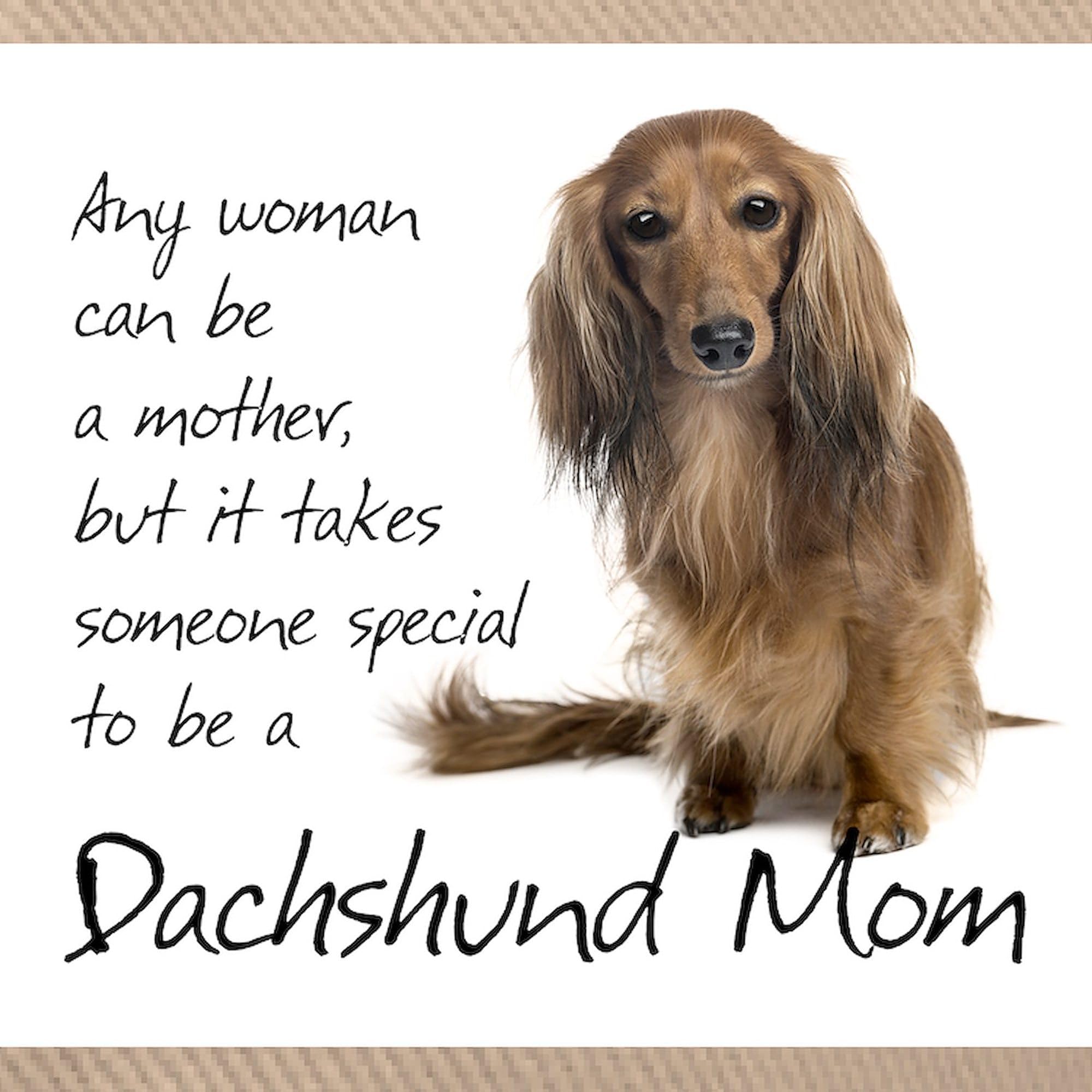 Dachshund 1 Adjustable Baseball Cap by CafePress - Perfect for Dog Lovers, Outdoor Activities & Casual Wear