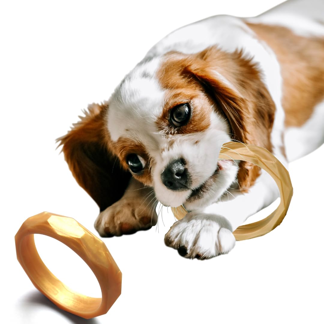 Sweet Paws Puppy Teething Rings - Food Grade Silicone Chew Toys for Small & Medium Dogs (0-6 Months) - Gold Rush - Perfect for Teething Relief & Puppy Training at Home or Outdoors