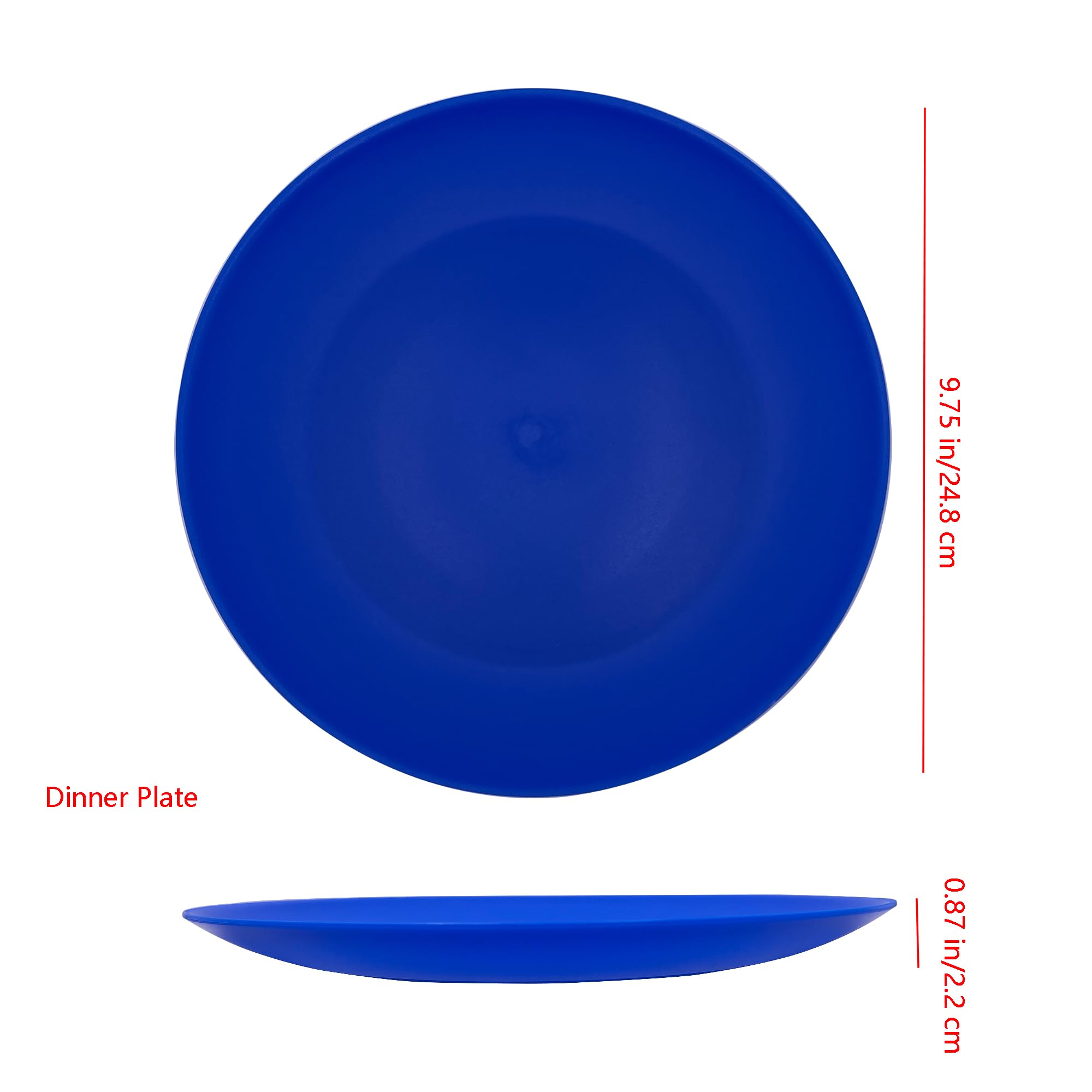 AOYITE 10 Inch Reusable Plastic Plates Set of 12 - Unbreakable BPA-Free Dinner Plates, Microwave & Dishwasher Safe - Perfect for Parties, BBQs, Picnics, Camping, Travel & Outdoor Events (Coastal Design)
