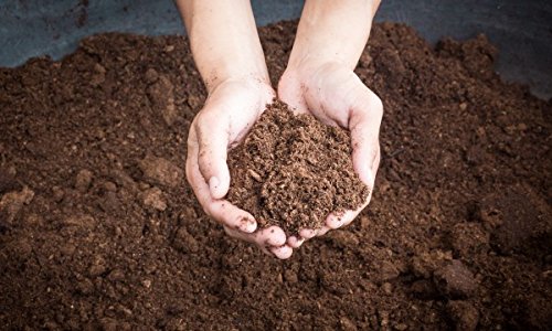 Premium Sphagnum Peat Moss for Gardening - 1 Quart | Organic Soil Amendment for Plants, Flowers & Vegetables | Ideal for Potting Mix, Seed Starting & Hydroponics