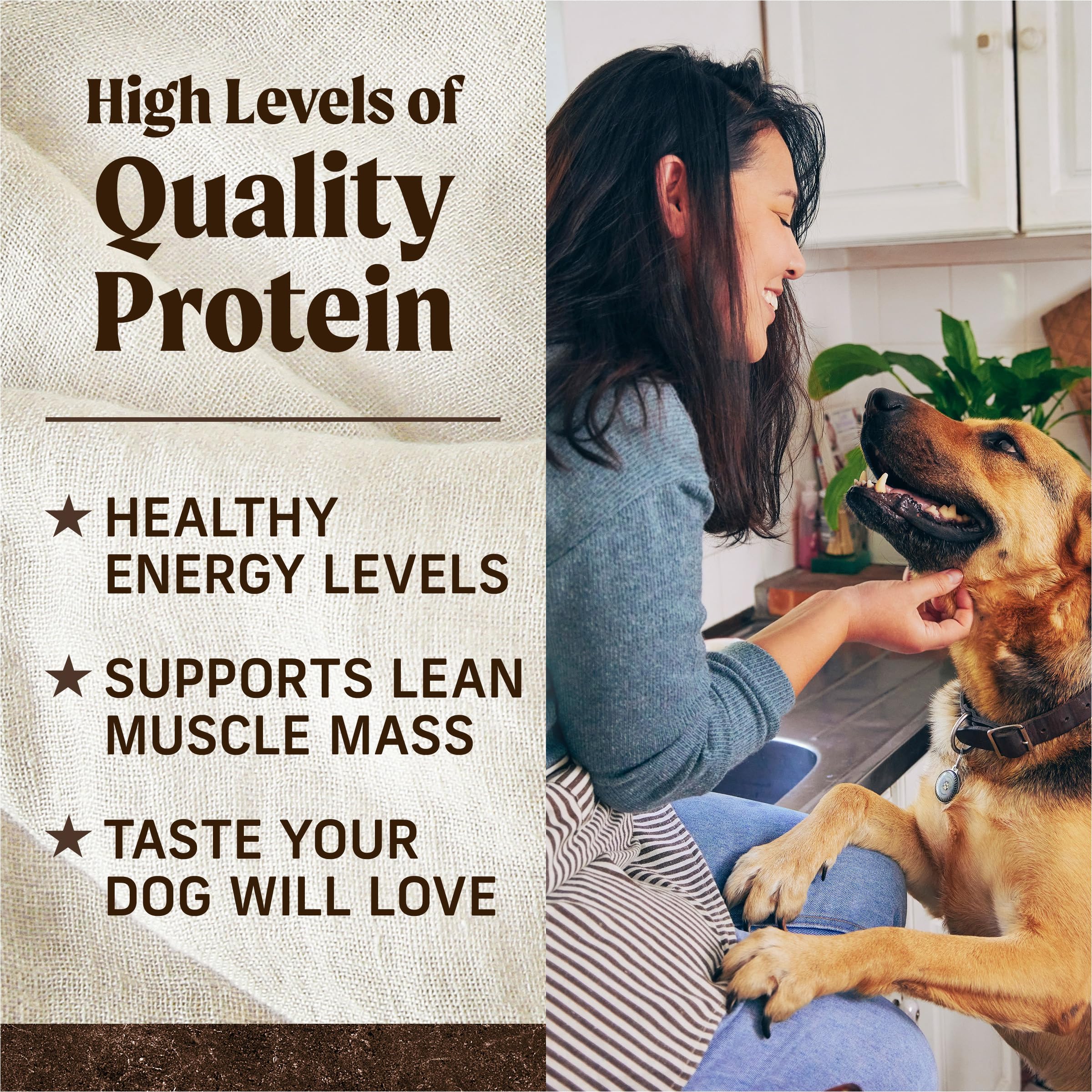 Merrick Premium Grain Free Dry Adult Dog Food with Real Salmon & Sweet Potato - 10 lb Bag | Natural Wholesome Kibble for Healthy Skin & Coat | Perfect for Active Dogs & Sensitive Stomachs