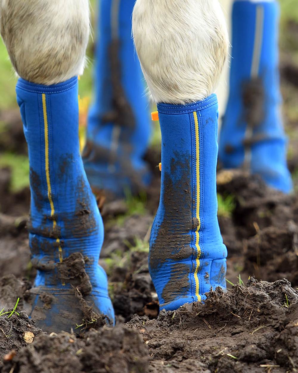 Equilibrium Equi Close Contact Chaps for Horse Riding - Durable & Comfortable Equestrian Leg Protection for Training & Show Jumping