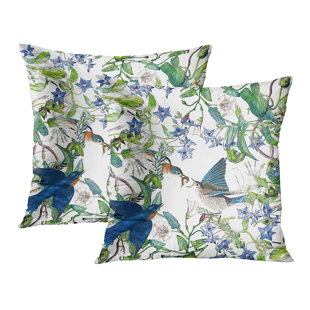 Rouihot Set of 2 16x16 Inch Floral Throw Pillow Covers - Bluebird & Morning Glory Botanical Design, Wildlife Animal Print Square Cushion Covers for Sofa, Couch, Bed - Perfect for Living Room Decor, Bedroom Accent & Cozy Home Styling