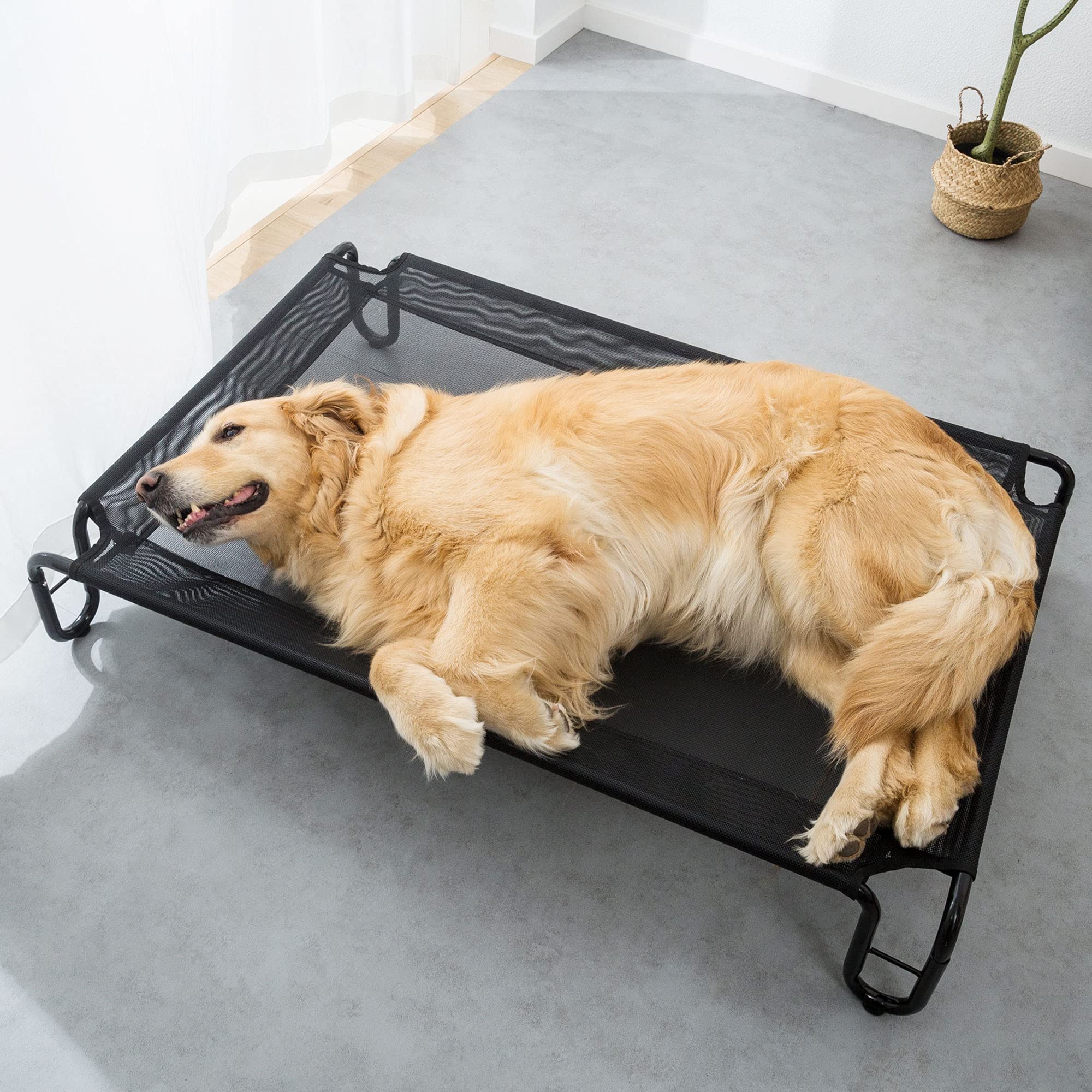 HIPIPET Elevated Dog Bed 30