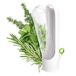 Ravido Plastic Herb Saver with Water Reservoir - Best Herb Keeper to Keep Herbs Fresh Longer - White - Perfect for Storing Basil, Cilantro, Parsley & More in Kitchen or Refrigerator