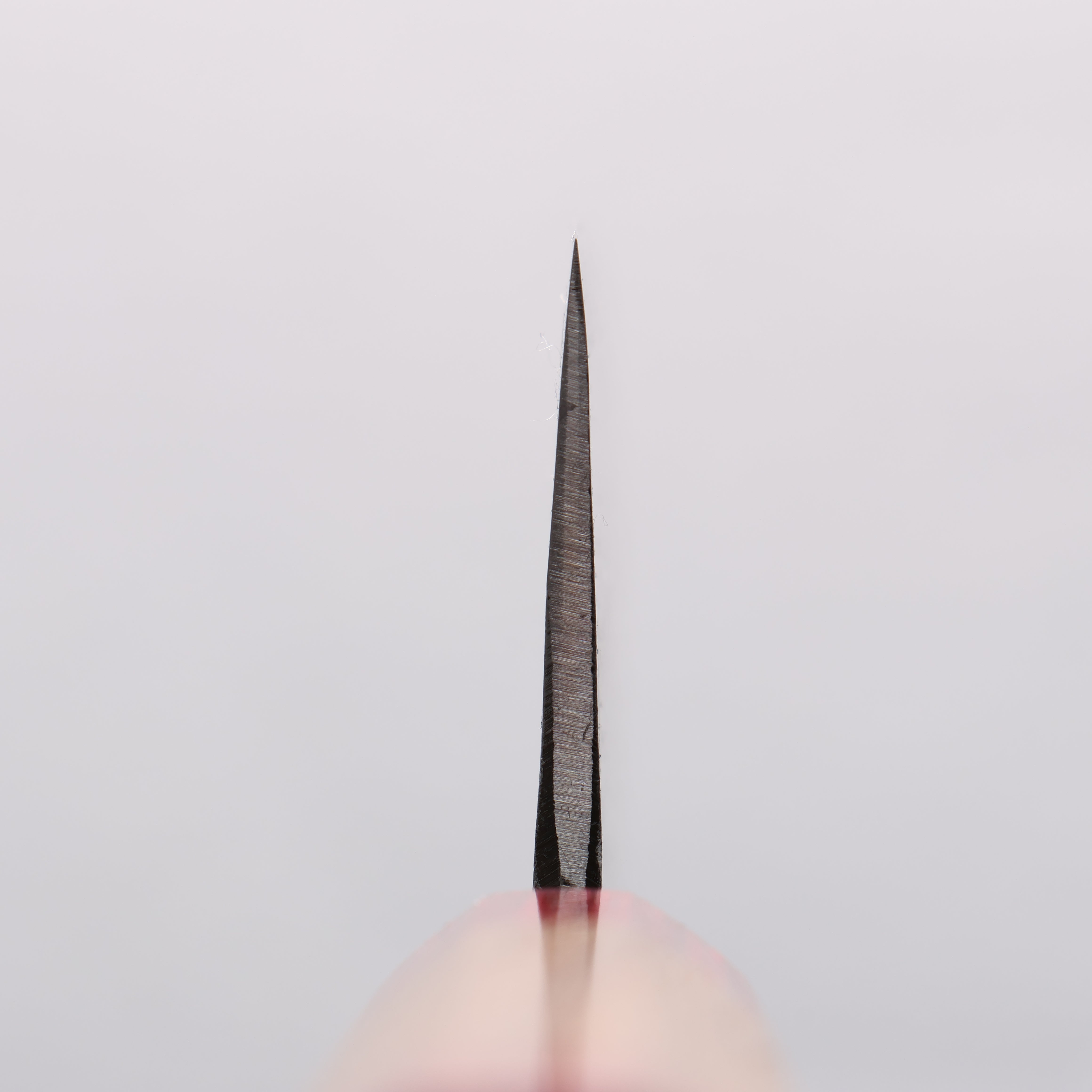 Seisuke Kurumi Blue Steel Kurouchi Usuba Knife 165mm - Walnut Handle with Double Red Pakka Wood - Perfect for Sushi, Vegetables & Precision Cutting