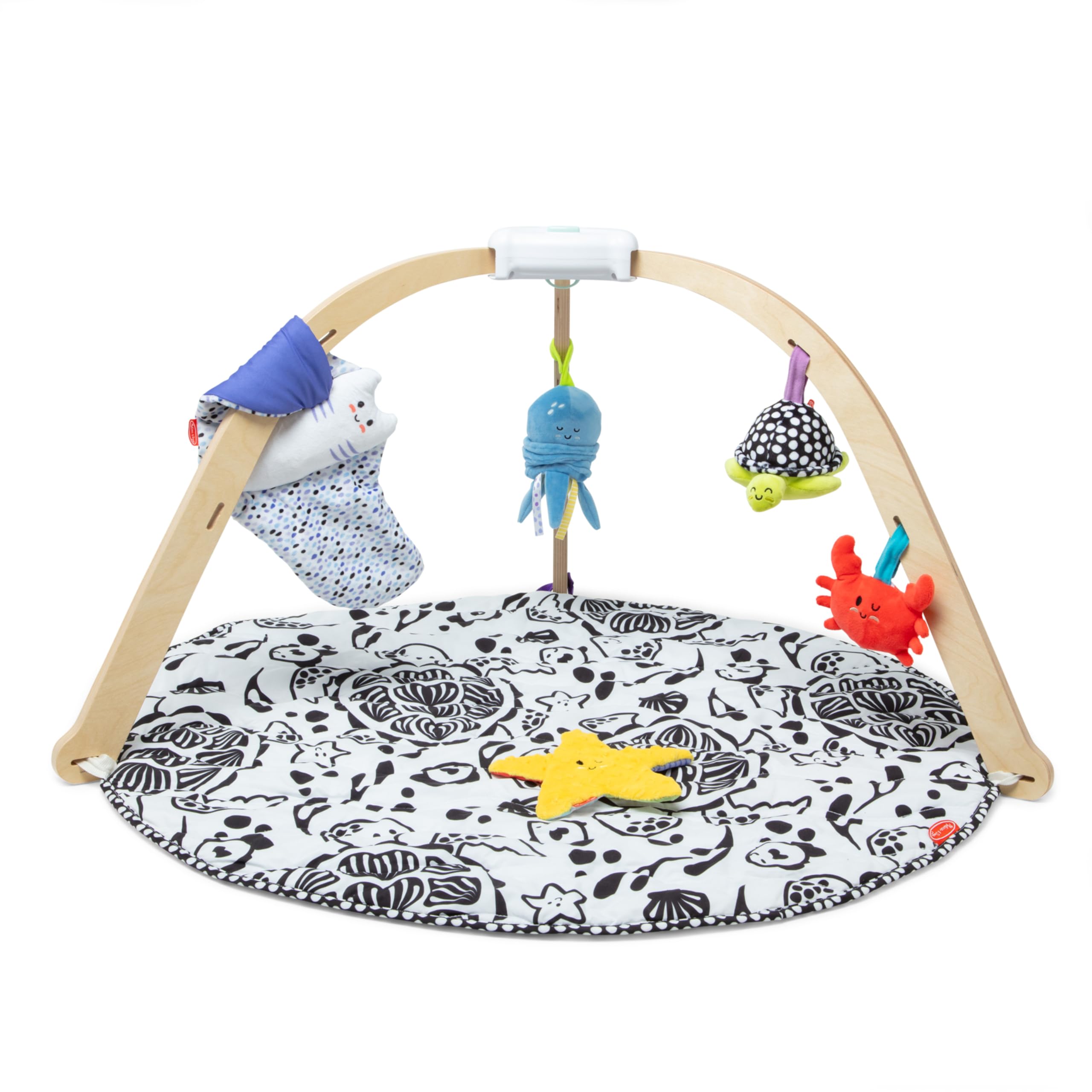 Melissa & Doug Ocean Play Gym - Reversible Mat & 5 Toys for Infants 0-9M, FSC-Certified | Baby Tummy Time & Sensory Play