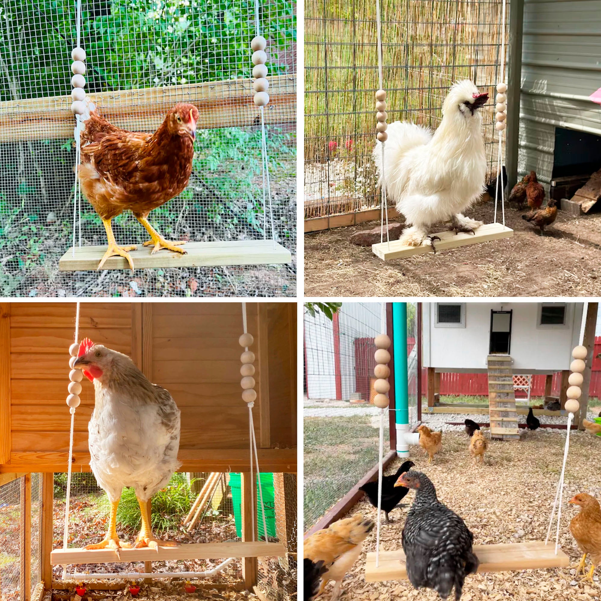 Chicken Swing for Hens - Comfortable & Durable Chicken Perch for Coops - Perfect for Relaxing, Roosting & Egg Laying | Backyard Poultry Accessories