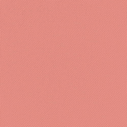1621 Coral