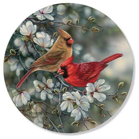 St. Louis Cardinals Team Logo Coasters - Set of 4 Absorbent Cork-Backed Drink Coasters for Beer, Wine & Coffee - Perfect for Game Day, Home Bar & Office Decor