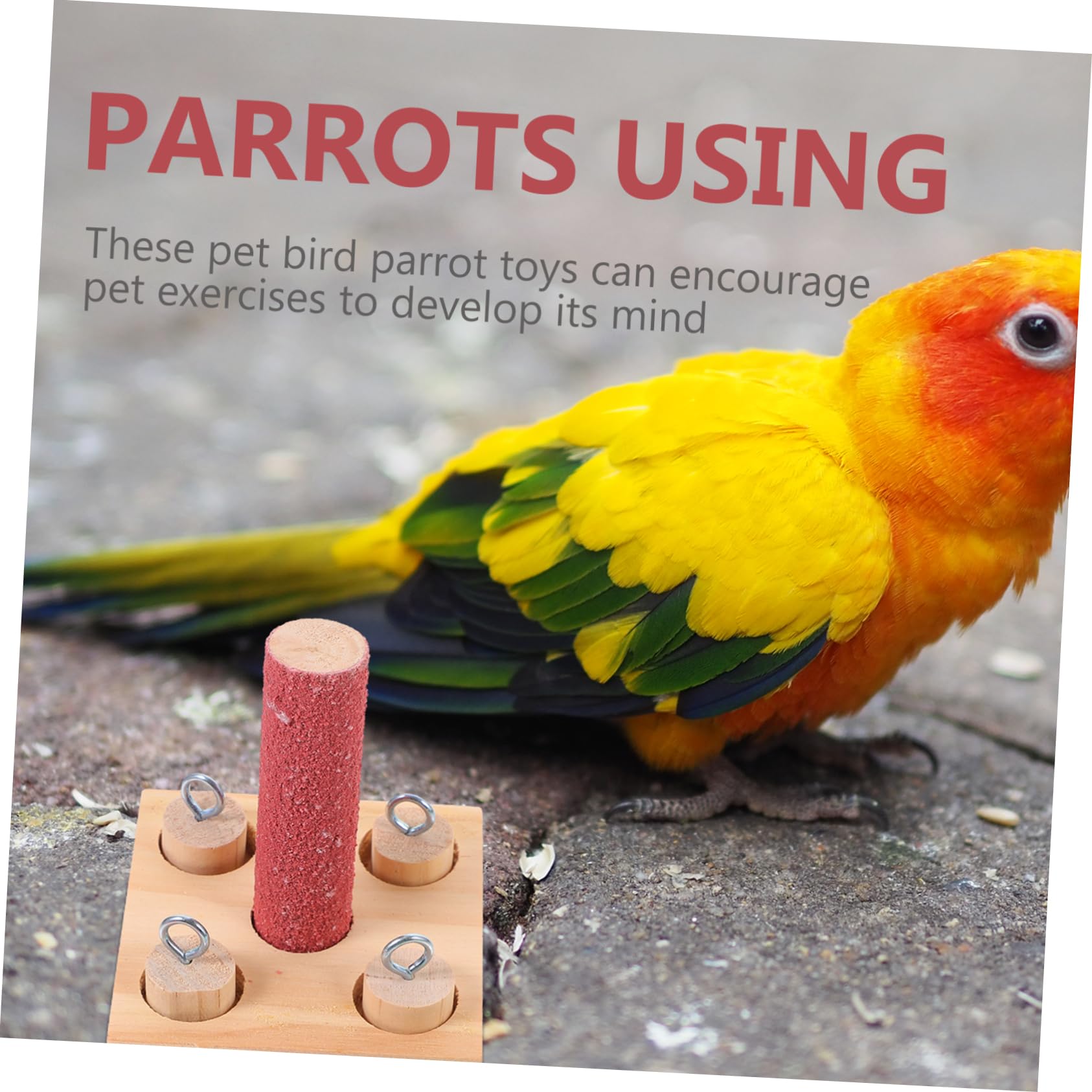 Mipcase Parrot Training Toy Set - Interactive Bird Intelligence Puzzle & Educational Toys for Parrots - Perfect for Training, Enrichment & Mental Stimulation of Pet Birds