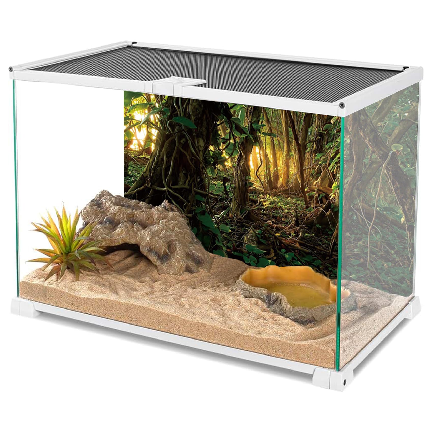 YongFoto 36x18 Inch Reptile Terrarium Background - Tropical Rainforest Jungle & Enchanted Forest Design for Bearded Dragon Tanks | Perfect for Reptile Habitats, Vivarium Decor, and Terrarium Backdrops