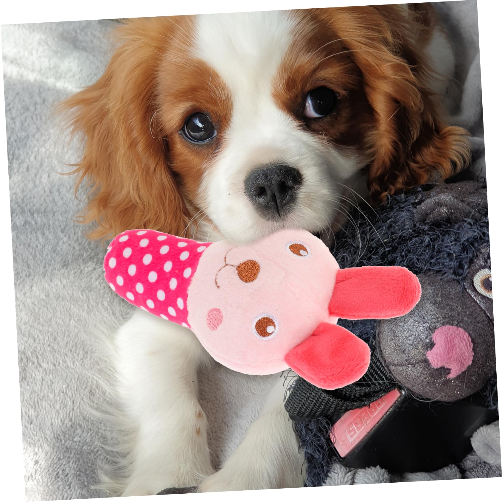 Balacoo Squeaky Plush Dog Toys - Bunny Chew Toys for Puppies, Teething & Grinding, Soft Thorn Ball for Small Dogs - Perfect for Playtime, Training & Dental Health