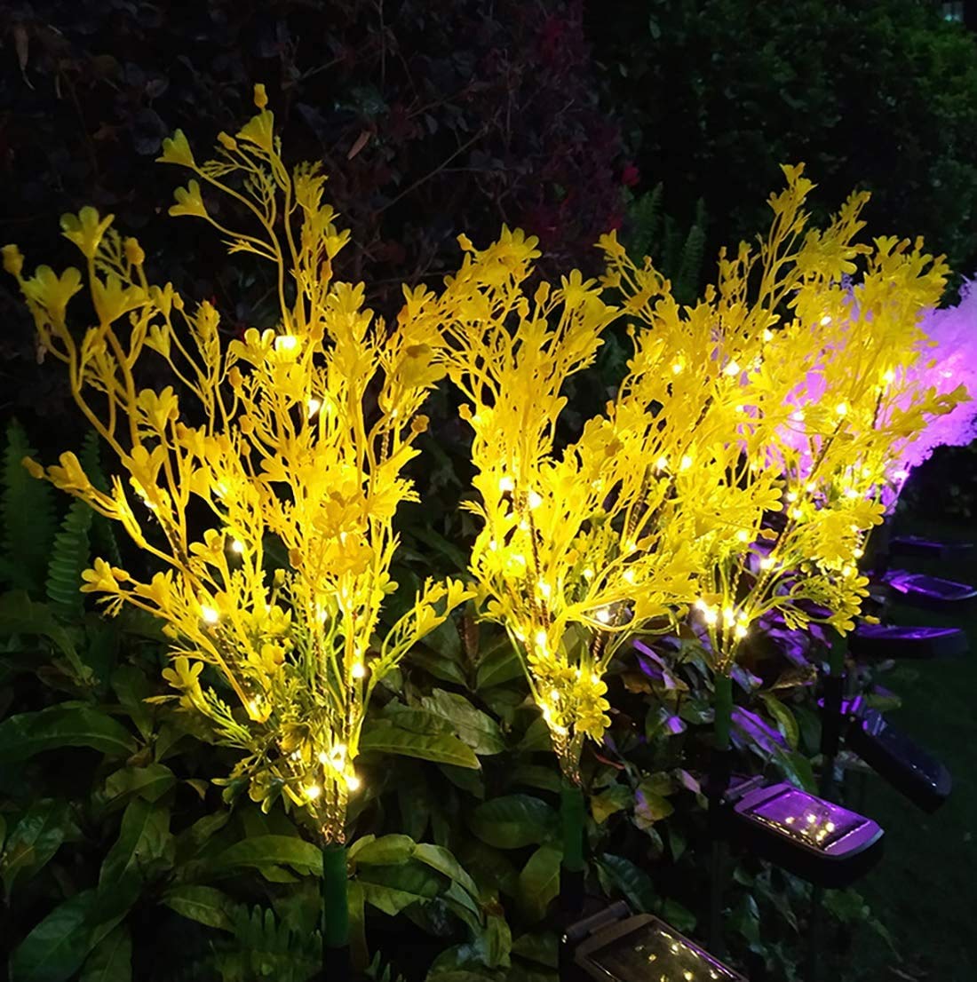 2 Pack Solar Garden Lights Outdoor - Waterproof Flower Solar Lights for Yard, Patio, Lawn & Pathway Decoration (Canola Flower Design) | Perfect for Backyard, Garden, Walkway & Landscape Lighting at Night