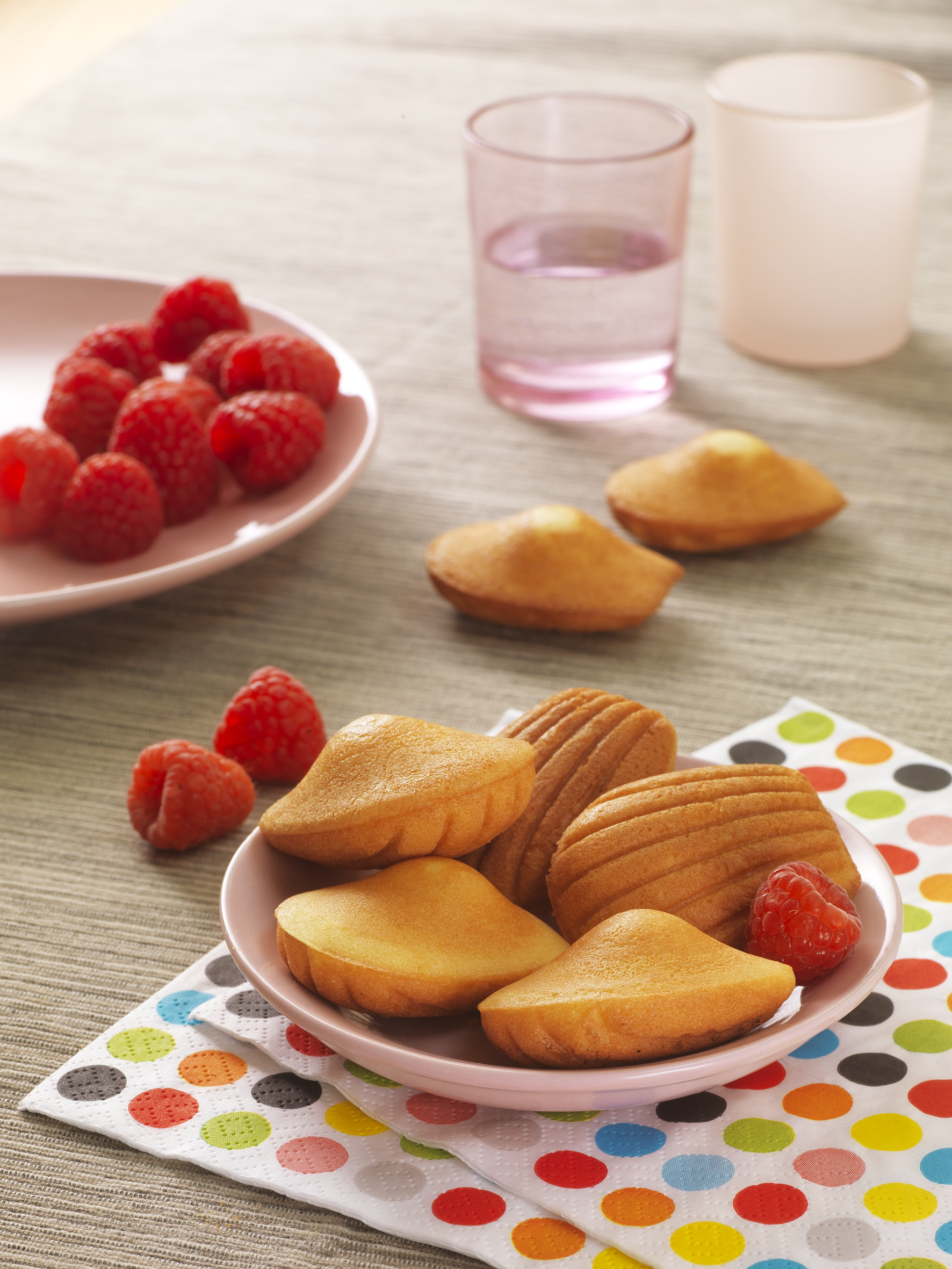 Tefal XA8015 Mini Madeleines Snack Collection Accessory Plates - Perfect for Baking, Serving & Entertaining at Home Parties