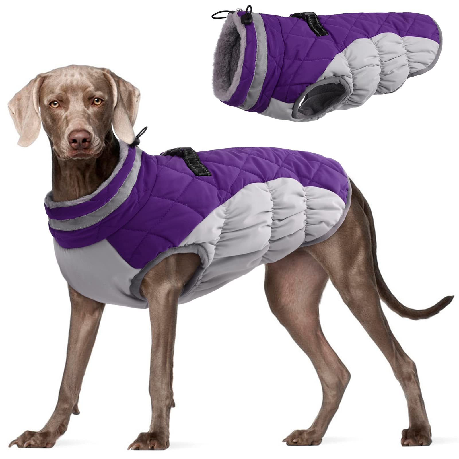 FUAMEY Waterproof Windproof Dog Winter Coat - Fleece Lined Reflective Snow Jacket with Built-in Harness, Zipper Closure - Warm Cold Weather Vest for Large Dogs (XXX-Large, Purple) - Perfect for Winter Walks, Outdoor Adventures & Snowy Days