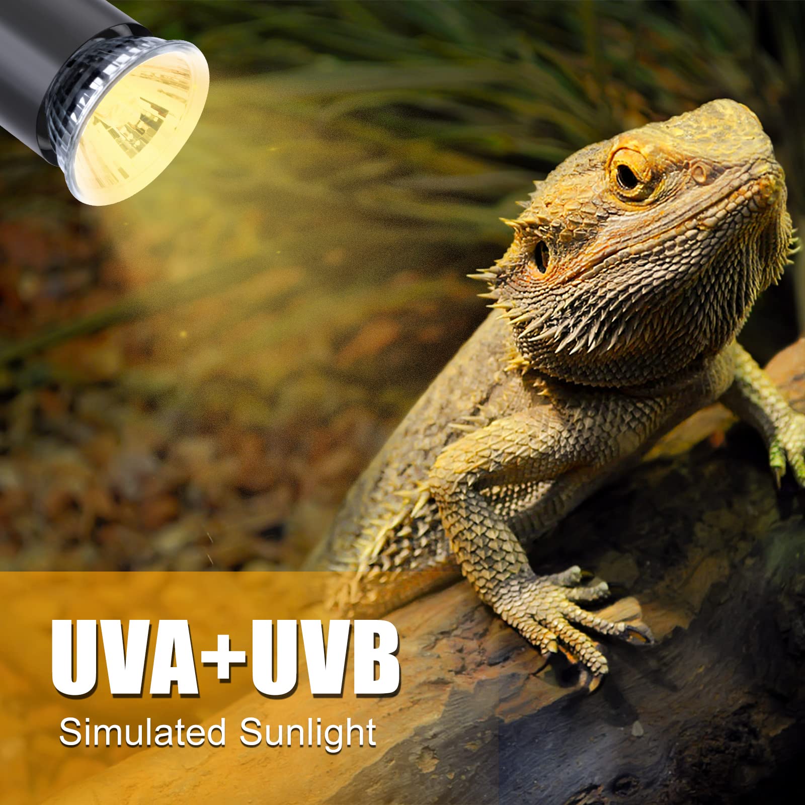 Reptile Heat Lamp Holder with Thermometer - 2 Pack 25W/50W UVA UVB Heat Bulbs for Lizards, Turtles, Snakes, Chickens - E26 Base 110V Replacement Bulbs for Terrariums & Reptile Habitats - Perfect for Basking, Warming & UV Lighting Needs