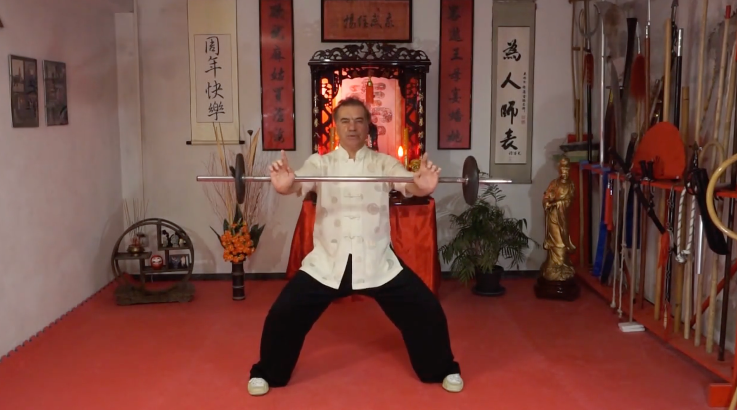 Paolo Cangelosi Hung Gar Kung Fu Training DVD - Traditional Chinese Martial Arts Instructional Video for Self-Defense & Fitness | Home Workout, Martial Arts Practice, Cultural Learning