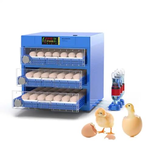 192 Eggs