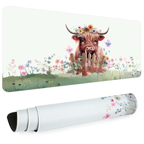 Highland Cow