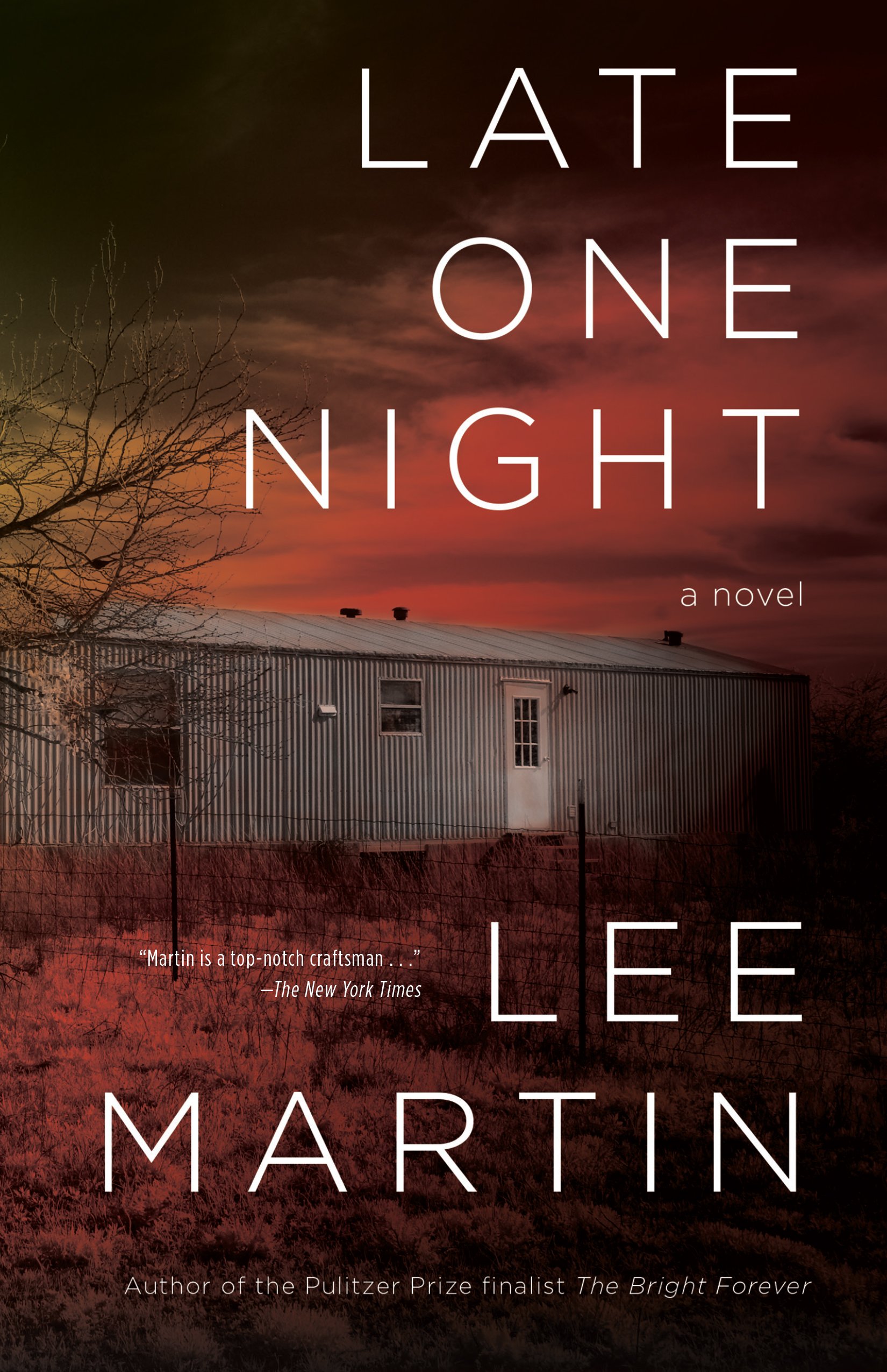 Late One Night: A Suspenseful Thriller Novel - Perfect for Late-Night Reading & Book Club Discussions