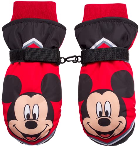 Mickey Mitten