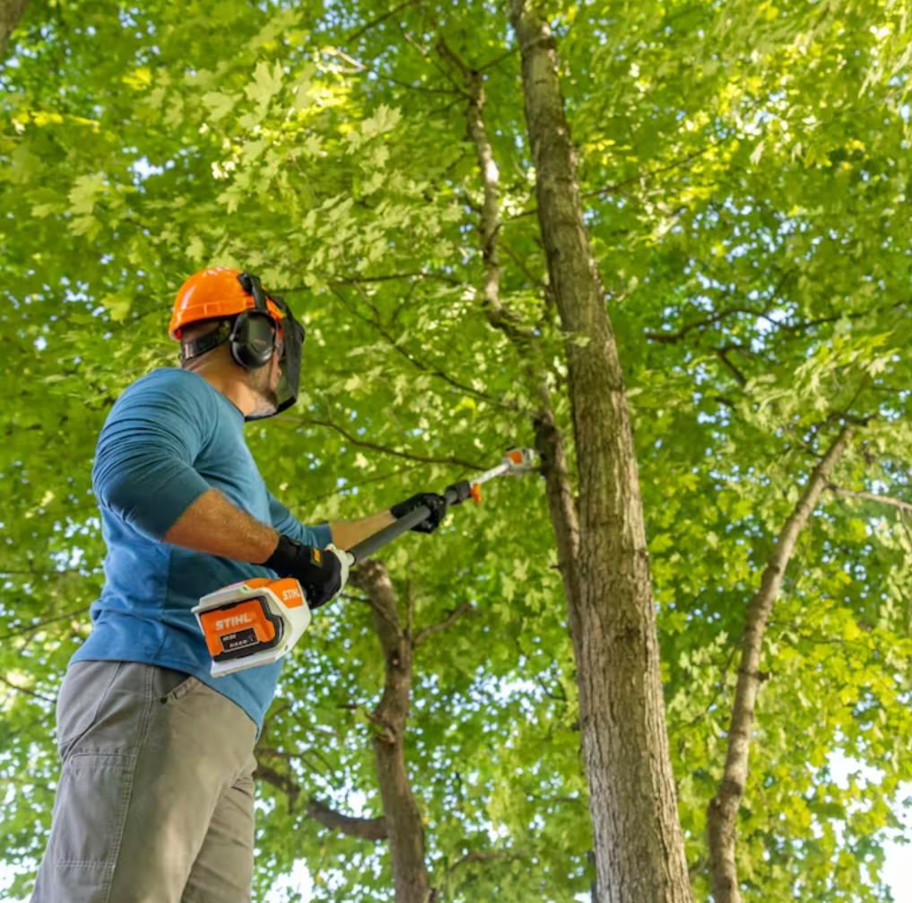STIHL HTA 50 Battery-Powered Cordless Pole Pruner - Lightweight Tree Trimmer for Garden, Yard & Landscaping Maintenance