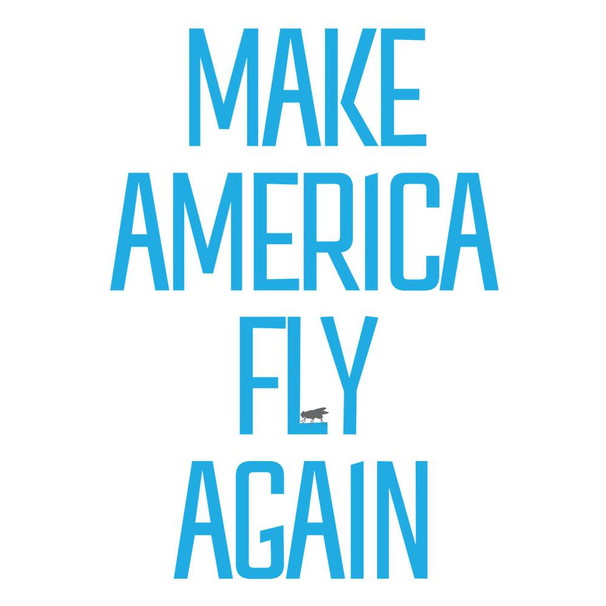 Make America Fly Again 11 oz Ceramic Coffee Mug - 325 ml White Tea Cup for Office, Home & Gifts - Patriotic American Flag Design