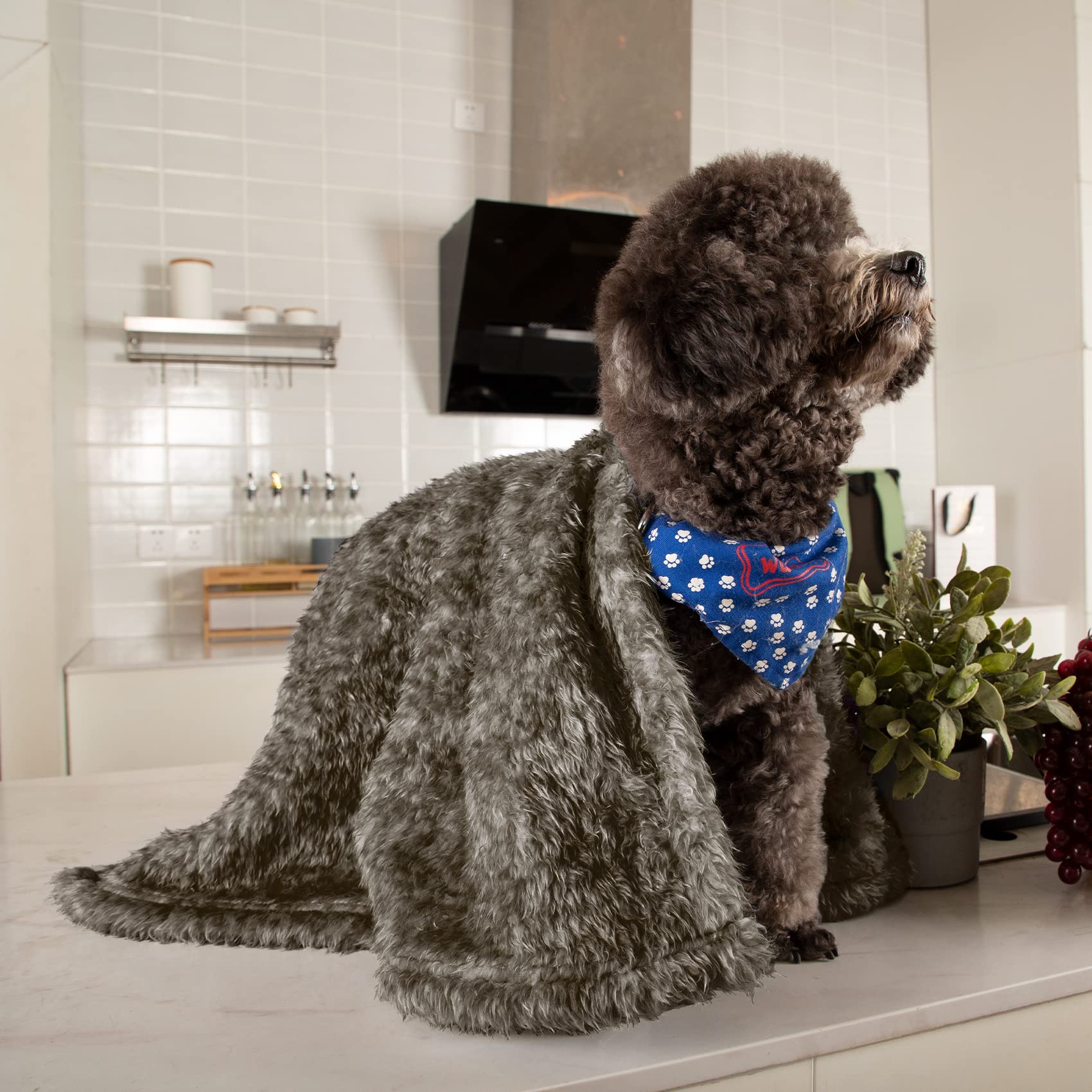 Fluffy Fleece Dog Blanket - Warm Pet Throw for Small Medium Large Dogs & Cats - Perfect for Bed, Couch & Travel