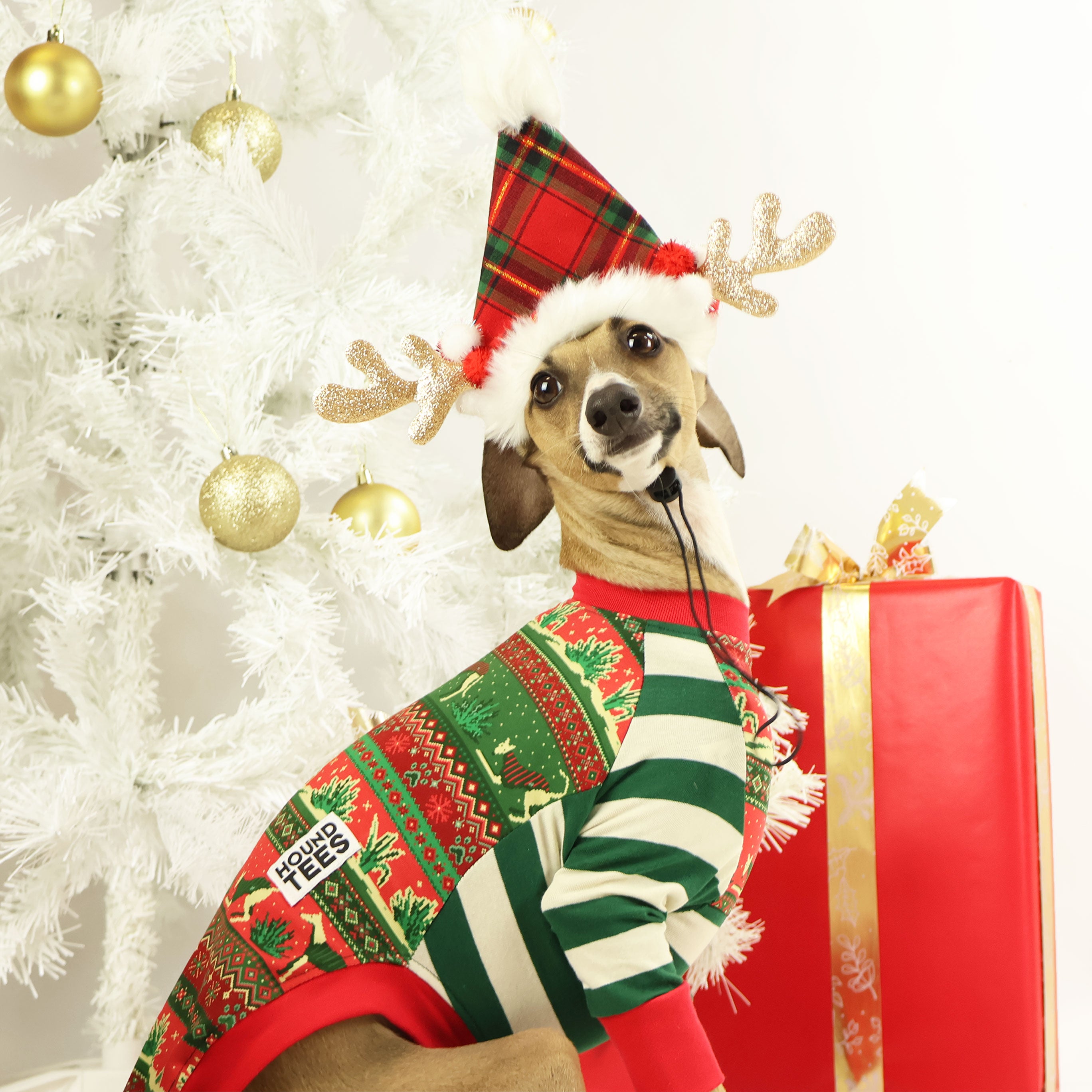 Iggy Christmas Sleeveless Dog T-Shirt - Festive Holiday Pet Apparel for Dogs & Puppies - Perfect for Christmas Photos, Parties & Gifts