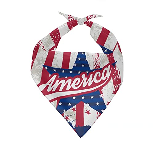 american flag