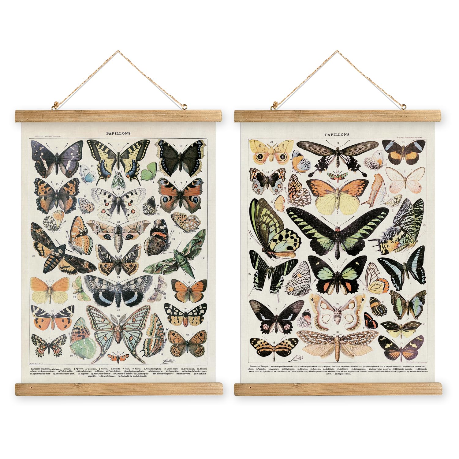 MIDEFINCH Vintage Butterfly Collection Print Set - Set of 2 Retro Butterfly Posters with Wooden Hanging Frames, 16x23 Inches Wall Art Decor for Living Room, Bedroom & Office | Home Decoration & Gift Idea