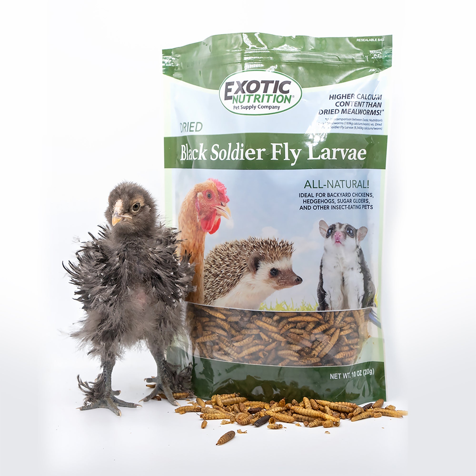 Premium Bulk Dried Insect Trio - High Protein Mealworms, Crickets & Grasshoppers for Reptiles, Birds & Fishing Bait | Natural Pet Food & Outdoor Adventure Supplies