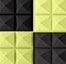 Black & Yellow