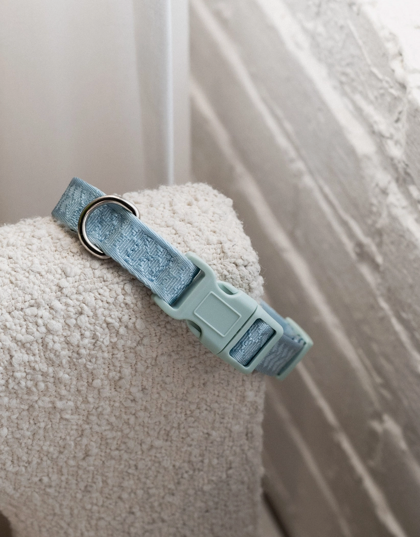 Peachy Dogs Daily Collar - Soft & Comfortable Pet Collar for Small Medium Dogs - Perfect for Walks, Training & Everyday Use
