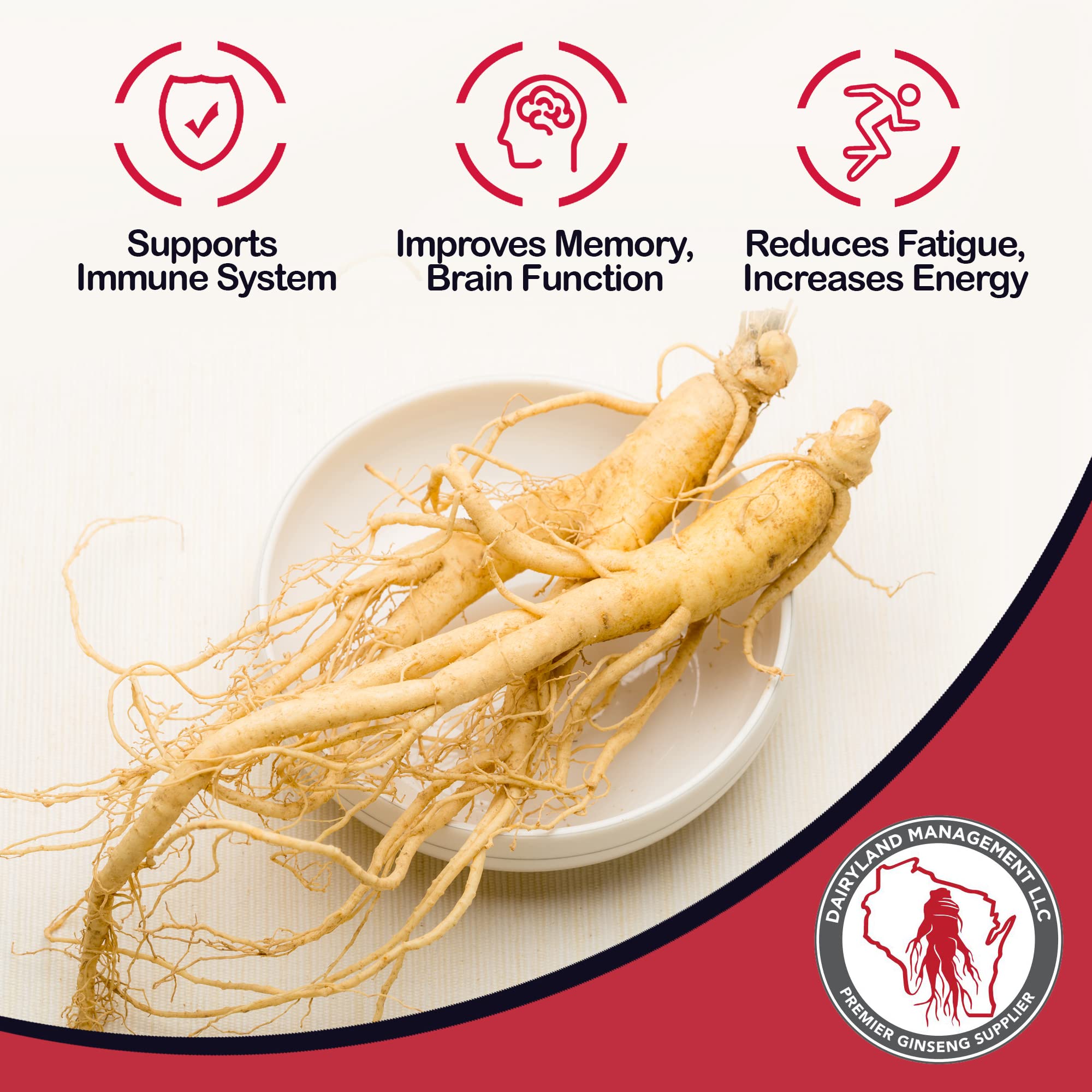 Premium Wisconsin American Ginseng Roots - 16 oz Pack of Authentic Non-GMO, Gluten-Free Whole Ginseng - Herbal Supplement for Tea, Soup & Congee - Boost Energy & Immunity Naturally - Perfect for Daily Wellness & Traditional Chinese Medicine
