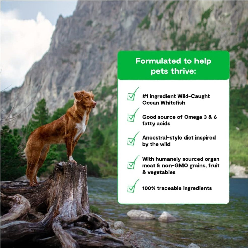 RawMix Wild Ocean Whole Grain Dog Kibble - Premium Natural Dry Dog Food for All Breeds & Sizes - High Protein Salmon & Whitefish Recipe - Perfect for Active Dogs & Outdoor Adventures
