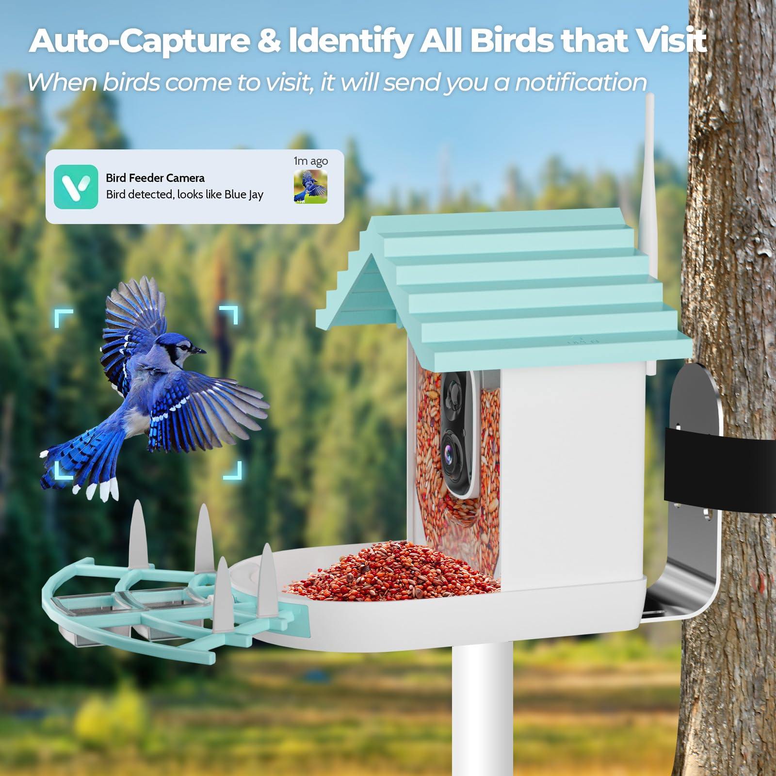 Smart Bird Feeder with HD Camera & Solar Power - Wireless Live Streaming, Weatherproof Design - Perfect Gift for Bird Lovers (Backyard, Garden, Patio Wildlife Watching)