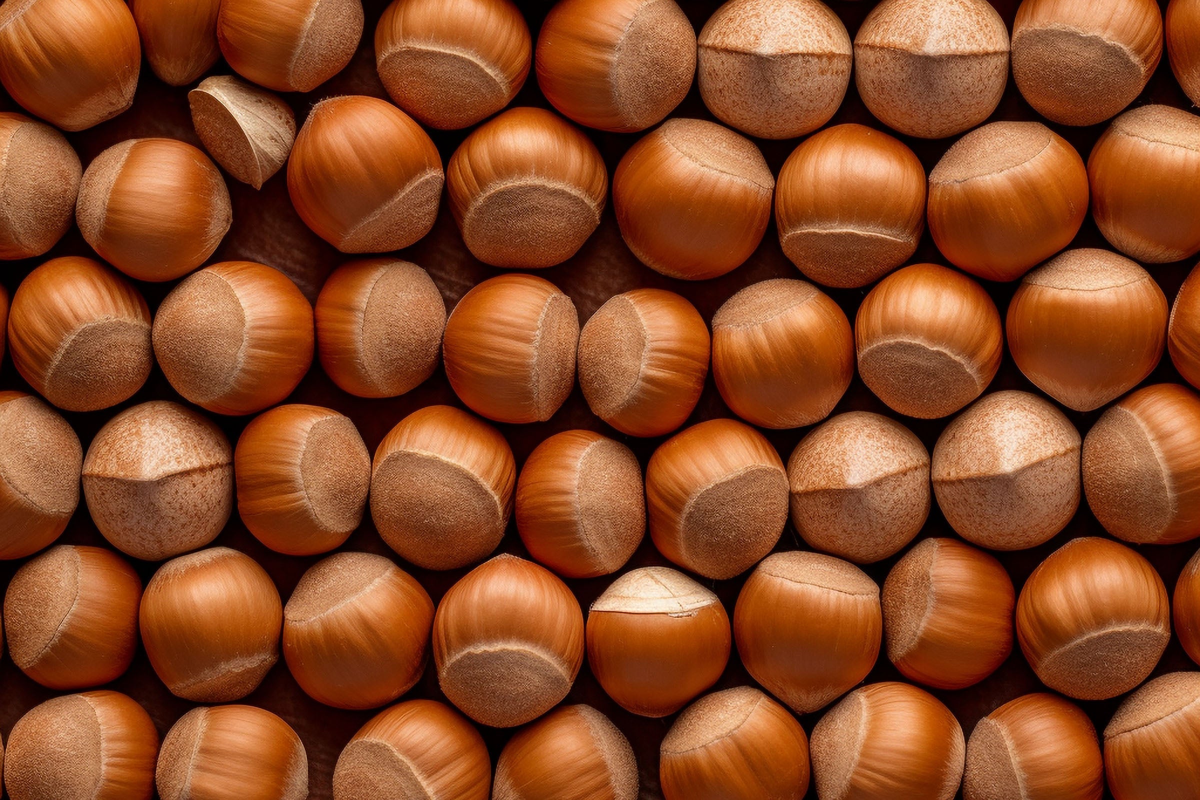 Premium Hazelnut Fragrance Oil for Candles, Soaps & Diffusers - Natural Aroma for Home & Spa Relaxation