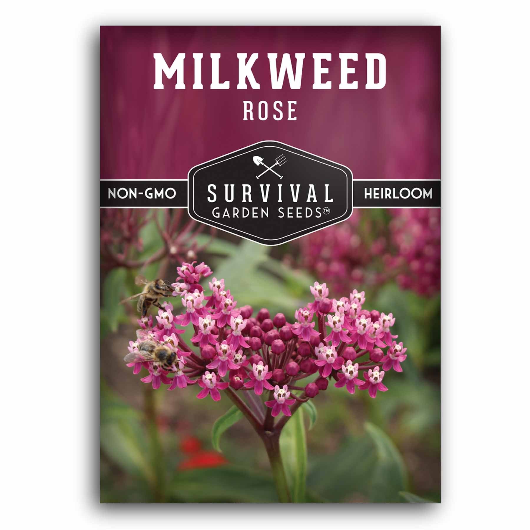 **Buy Rose Milkweed Seeds Online - Asclepias Incarnata for Butterfly Gardens & Pollinator-Friendly Landscaping**