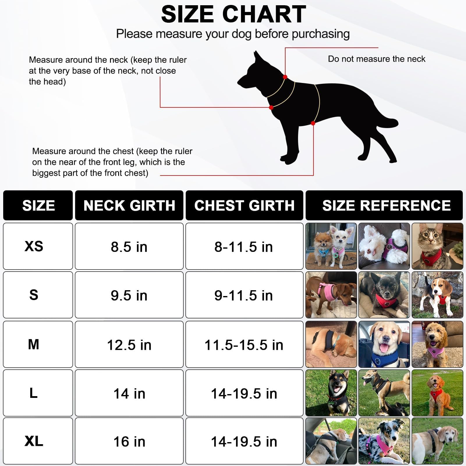 BINGPET Small Dog Harness - Breathable Mesh No-Pull Adjustable Vest for Puppies & Cats - Comfortable Pet Harness for Small to Medium Dogs - Perfect for Walking, Hiking, and Outdoor Adventures