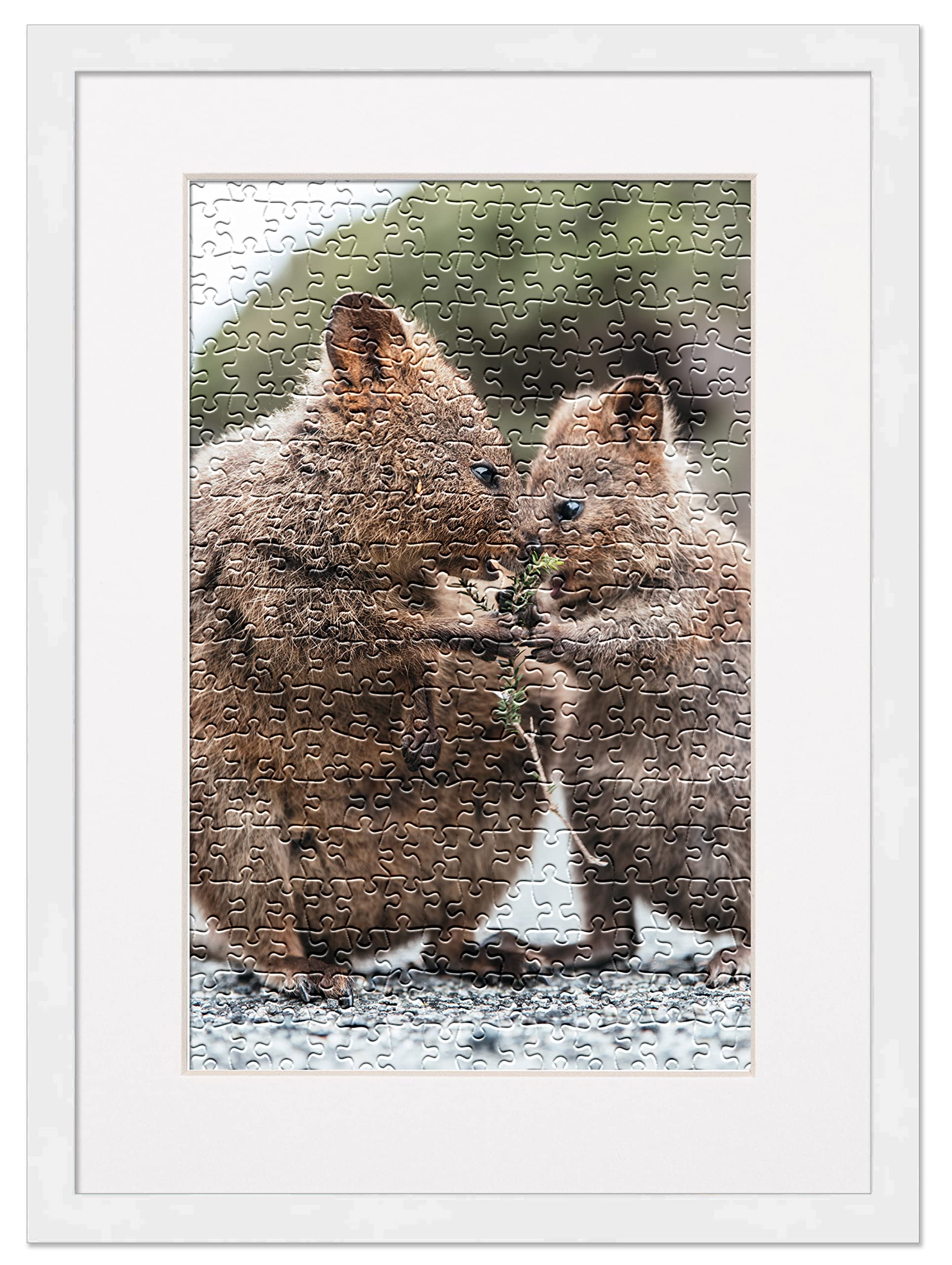 19.75x26.75 Jigsaw Puzzle Frame Kit with Puzzle Glue Sheets, White Wood Frame & Mat, UV Acrylic & Hanging Hardware - Perfect for Displaying Completed Puzzles in Living Rooms, Bedrooms or Game Rooms